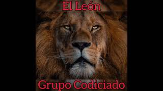 El Leon Lyrics English Translation