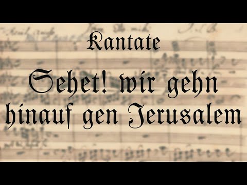 Musycke & Manuscripts