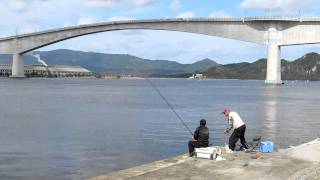 preview picture of video 'チヌ釣り人境港市渡町・江島大橋下で'