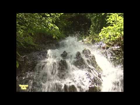 Niksar 1/2 - Yaşayan Tarih Kanal B