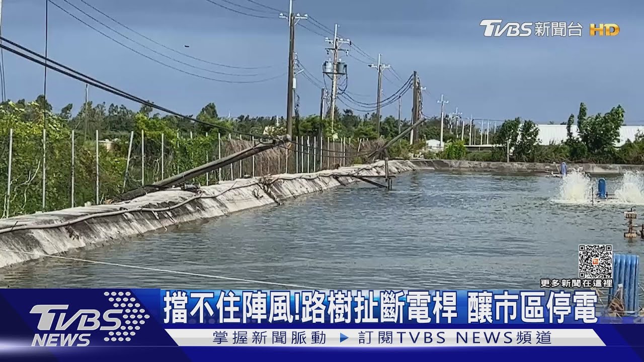 擋不住陣風!路樹扯斷電桿 釀市區停電