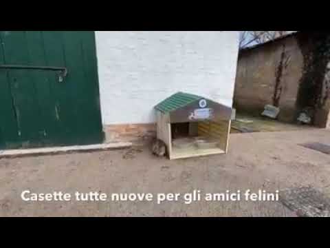 Luigi Brugnaro - Riaperto Forte Marghera