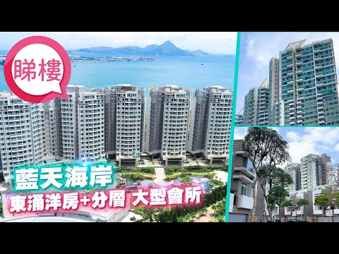 蓝天海岸 Youtube Video