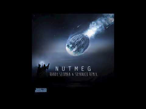 Infected Mushroom - Nutmeg (Randy Seidman & Skyknock Remix) [Free Download]