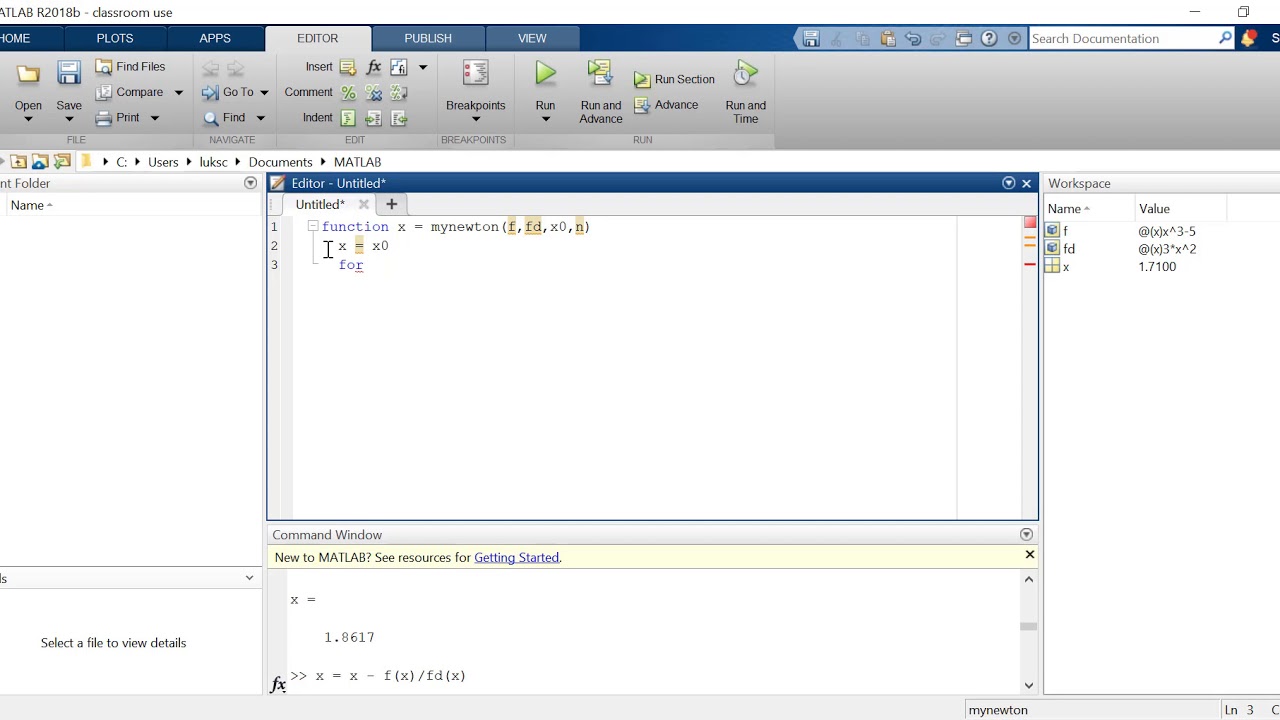 The Basic Newton Method in MATLAB