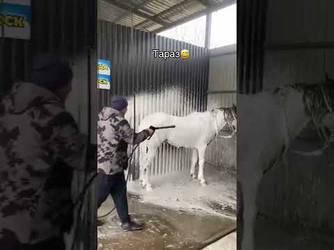 такого ни кто не ожидал точно