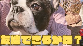 【フレブルvlog】愛犬の友達作りにドックランへ行ったら絶望した😓