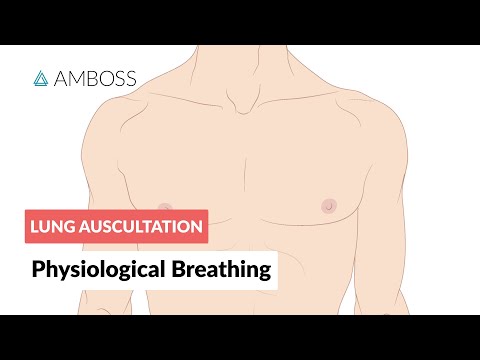 Physiological breathing - Lung Auscultation - Episode 1