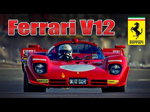 Ferrari 512S | pure V12 engine sound and walkaround