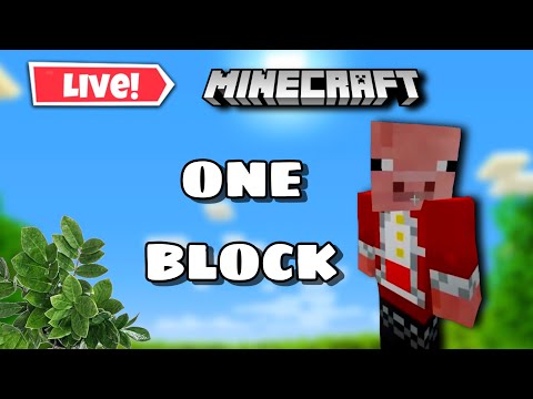 VPEX - Title: "Conquering the Minecraft Universe with a Single Block: Epic Survival Showdown!"