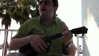 Magnetic Fields cover "A Chicken with its Head Cut Off"