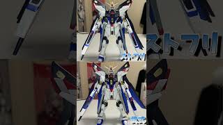 HG マイティーストライクフリーダム ガンダム  ＃Shorts