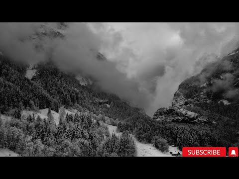 WINTER STORM & BLIZZARD WITH ICY HOWLING SOUNDS FOR SLEEPING AND RELAXING