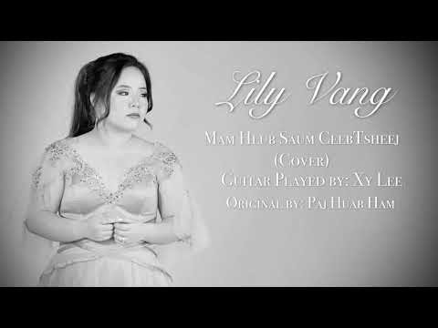 Lily Vang- Mam Hlub Saum Ceebtsheej (cover)