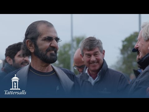 Tattersalls October Yearling Sale, Book 1 Day 1 Review 2022