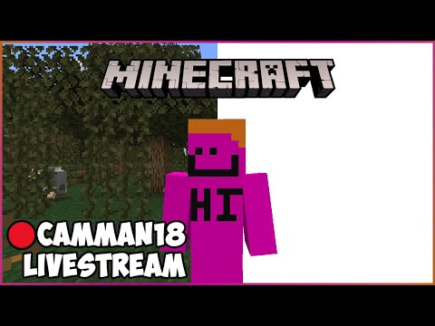camman18 VODS - Speedrunning Items in Minecraft But Everything is WHITE camman18 Full Twitch VOD