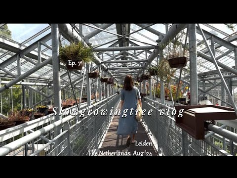 Exploring Leiden and trying local Dutch food | Summer in the Netherlands VLOG | Ep. 7 of 8