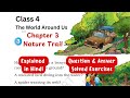 Nature Trail Chapter 3 Class 4 TWAU Explanation Question Answers New NCERT EVS