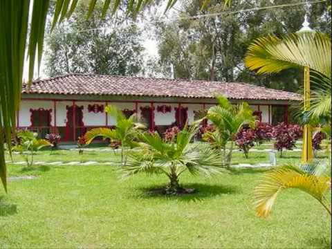 Jose Reynel - Fui Tuyo, Fuiste Mia (Audio Oficial)