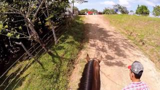 preview picture of video 'La Colorada, Santiago, Panama Horseback Riding'