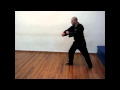 Ren Geri