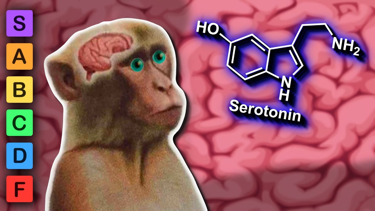 Which Neurotransmitter is the Most Stimulating? (Neurotransmitter Lore)