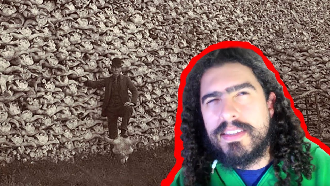 A sexta extinção em massa (#Pirula 136.3/219.2)