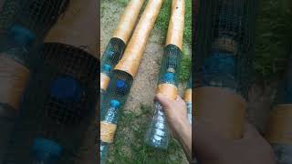 Download lagu Pasang bubu belut hasil nya memuaskan mp3