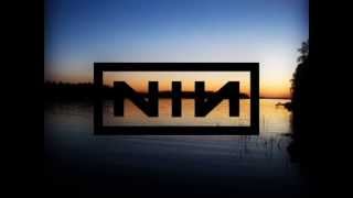 Nine Inch Nails - Wish (Tone-Fished remix)