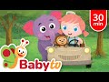 Animals For Kids Bear Lion Monkeys More Wild Animal Songs BabyTV