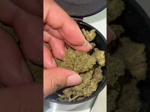 Shop with THCA KING!Dont bother this flower from biowellnessx!THCA KING 🔥Use 10% code  Chopitspot