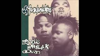 Fu-Schnickens-Visions [20-20] (1994)