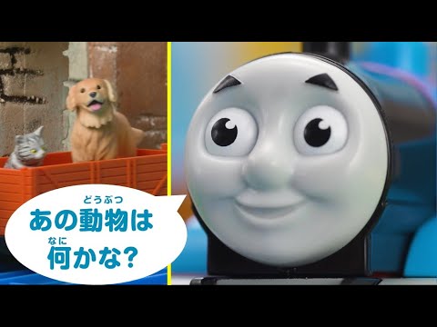 トーマスとえいごをまなぼう！ どうぶつクイズ②　プラレールトーマス【タカラトミーキッズ】 親子で楽しくあんしん | ファミリー | おはなし | 公式 | タカラトミー公式