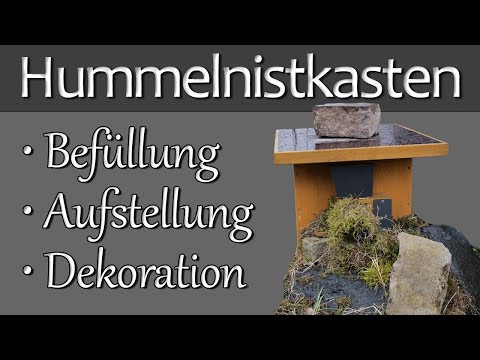 Hummelnistkasten - Befüllung, Aufstellung, Dekoration zur Selbstansiedlung