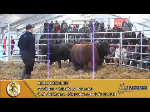 04-07-18 Nota Atilio Panaccio - Martillero - Cabaña La Pastoriza - San Miguel del Monte