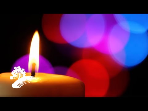 Jack Jezzro & Sam Levine - Lovin' In The Fifties [Valentine's Day Visualizer]