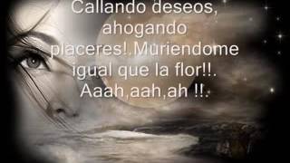 ANA GABRIEL FUI YO LETRA!1