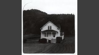 Pollen By Mirah (Window)