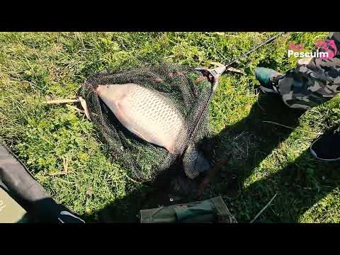 AziPescuim.Ro pe balta Oltina