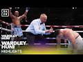 Wardley S DEVASTATING Knockout Wardley Vs Huni Fight Highlights