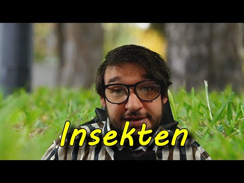 Lernen mit Herrn Hif - Folge 6 - Insekten