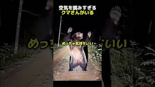 오토바이 타고 가다가 곰을 만났는데