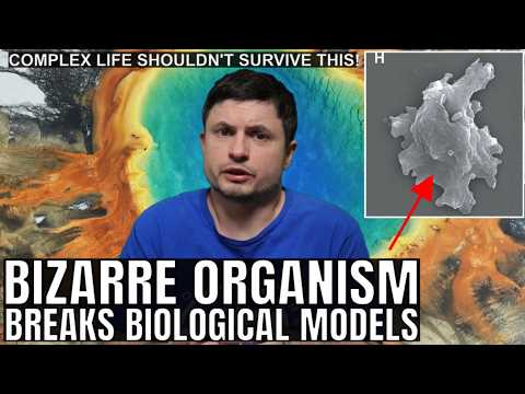 Fire Amoeba Defies Life's Temperature Rules (New Discovery)