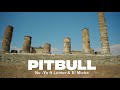 Pitbull - Me Quedare Contigo (Gino Latino Salsa Remix) [Feat. Ne-Yo, Lenier, El Micha]