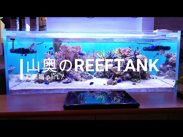 【海水水槽】山奥のReefTank動画編　ｐａｒｔ7　水槽横のカウンターをDIY