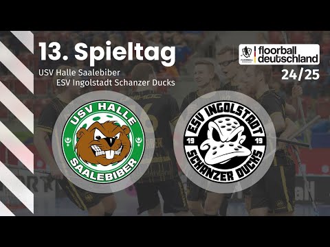 USV Halle Saalebiber vs. ESV Ingolstadt Schanzer Ducks | 13. Spieltag - 2. FBL Herren Süd/Ost 24/25