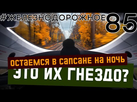 Сапсан по маршруту: Санкт-Петербург - Металлострой  #железнодорожное - 85 серия