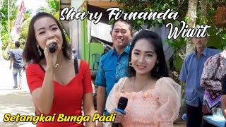 Download lagu SETANGKAI BUNGA PADI - SHARY FIRNANDA Ft WIWIT with SURYA NADA mp3
