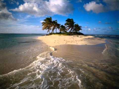 النور النور