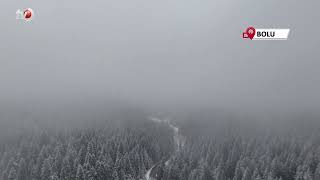 Bolu Ormanlarında Kar Manzarası